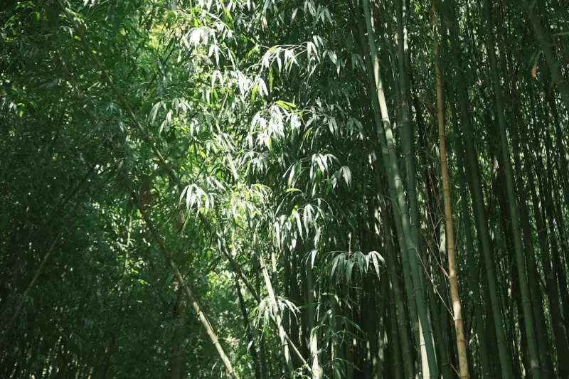 油气工程技术服务在储层改造中的应用案例与成效